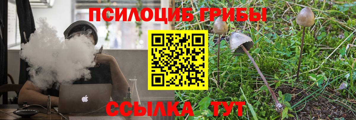 Воркута  Псилоцибиновые грибы ЛСД  Вход с VPN 