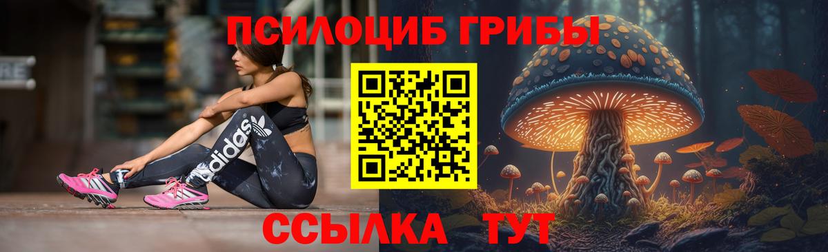 Псилоцибиновые грибы Magic Shrooms Воркута
